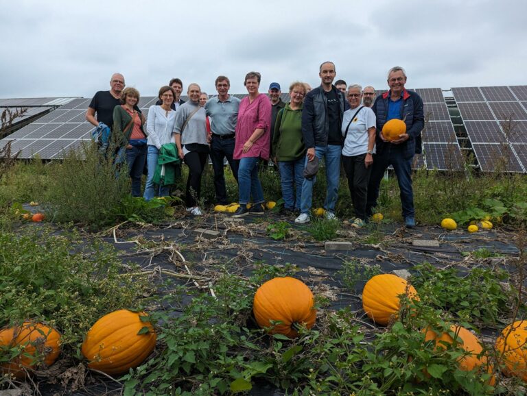 Grüne erkunden Hof Ventker