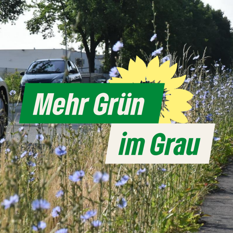 Grüner Einsatz für artenreiches Straßenbegleitgrün in Emsdetten!