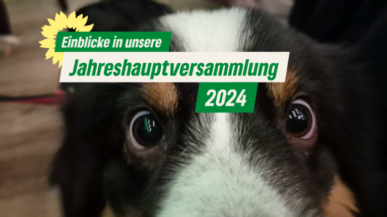 Voller Saal, klare Motivation, starke Ergebnisse: Jahreshauptversammlung der Grünen Emsdetten