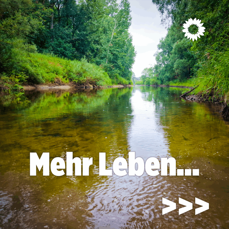 🌿 GRÜNE Emsdetten: Mehr Leben für unsere Bäche! 🌊