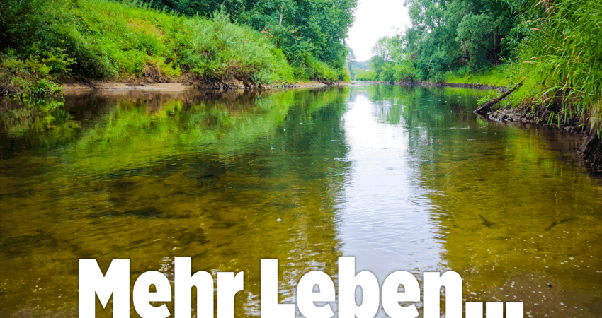 Bach_1_FB