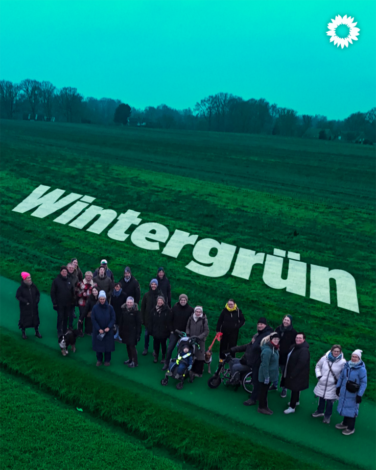 Wintergrün
